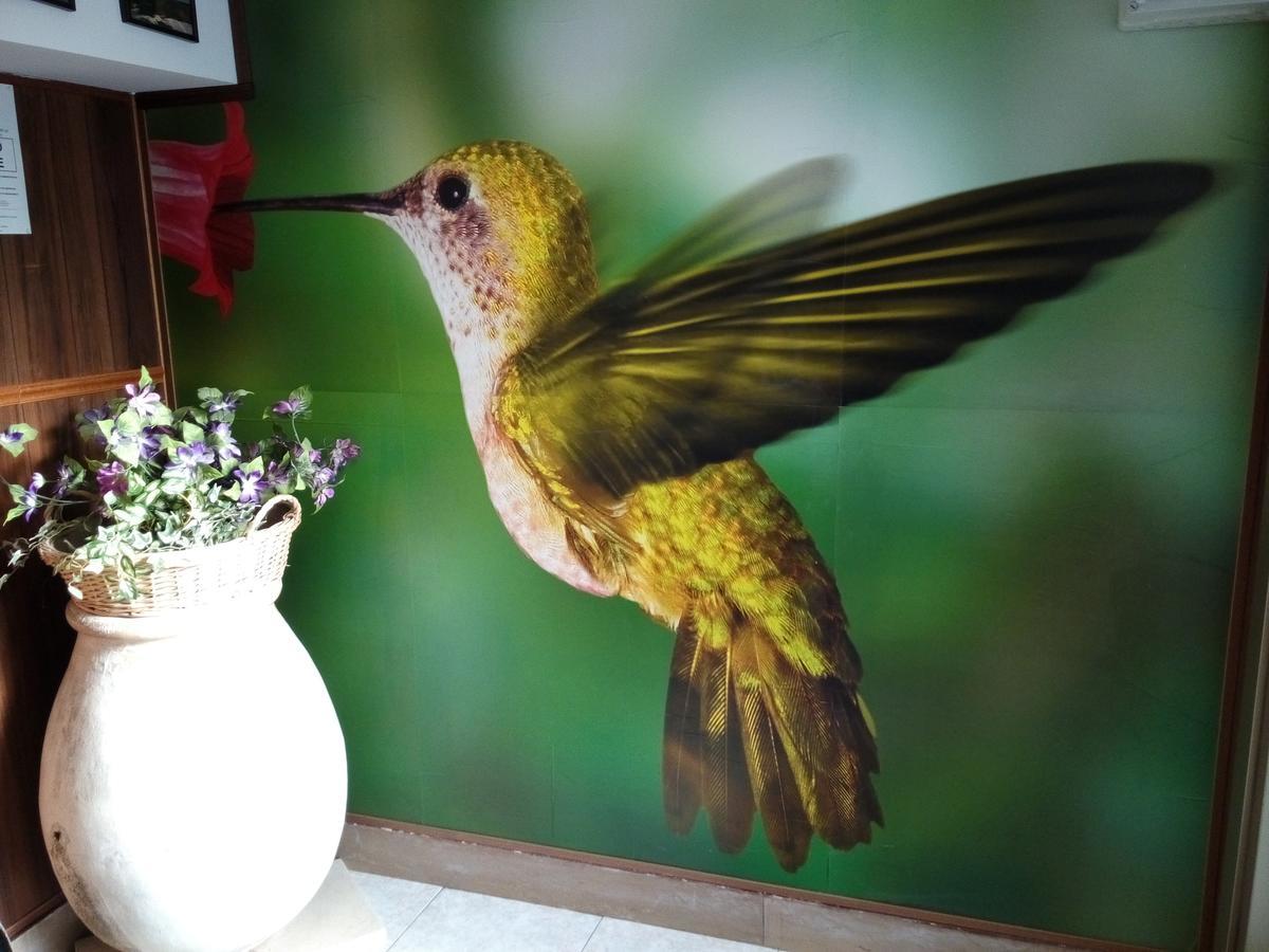 Residence Colibri Family & Bike 로아노 외부 사진